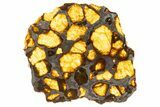 Polished Imilac Pallasite Meteorite ( g) Slice #334649-1